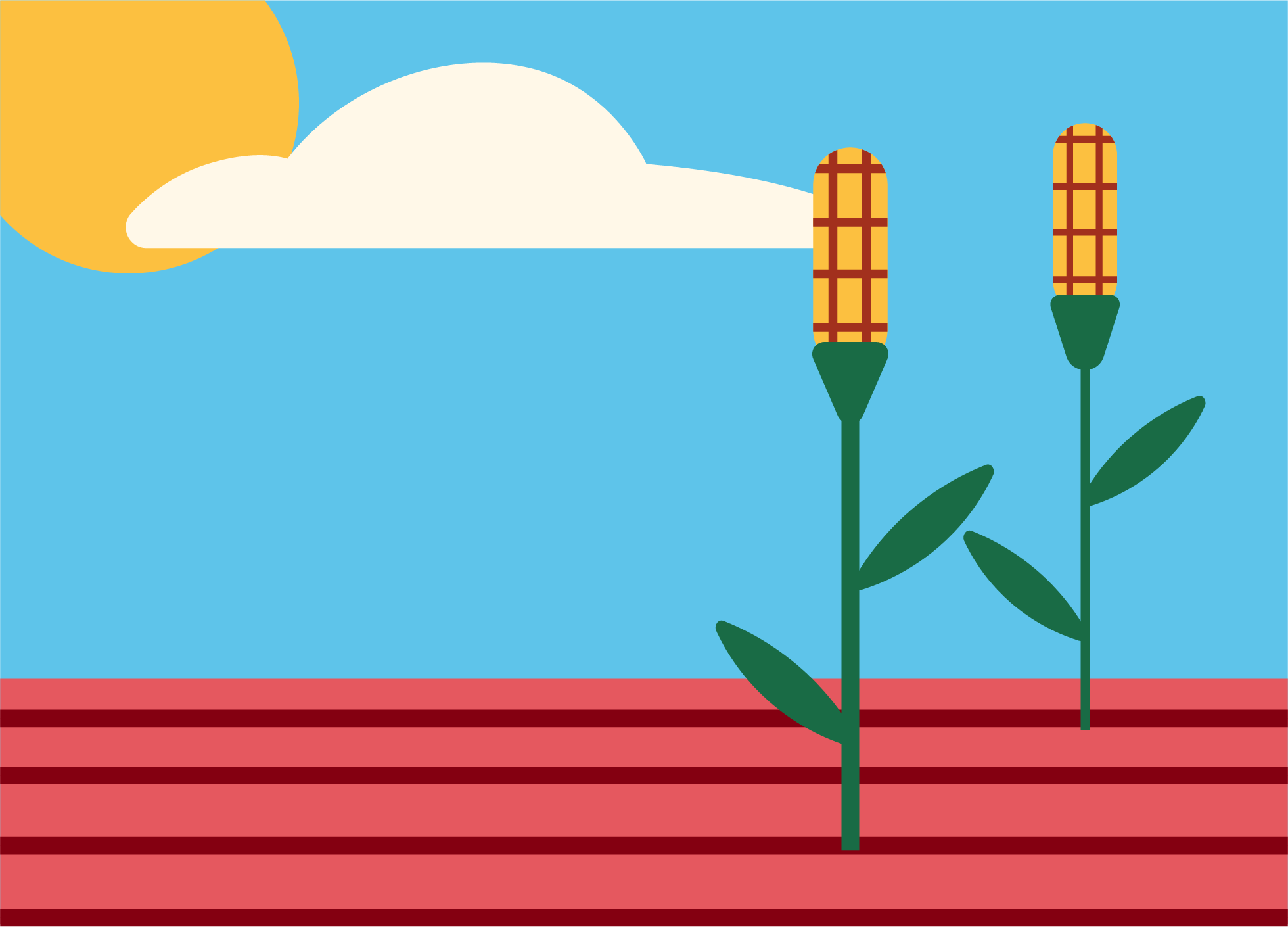 Regenerative Agriculture Flag